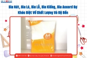Bìa Nút, Bìa Lá, Bìa Lỗ, Bìa Kiếng, Bìa Accord Sự Khác Biệt Về Chất Lượng Và Độ Bền